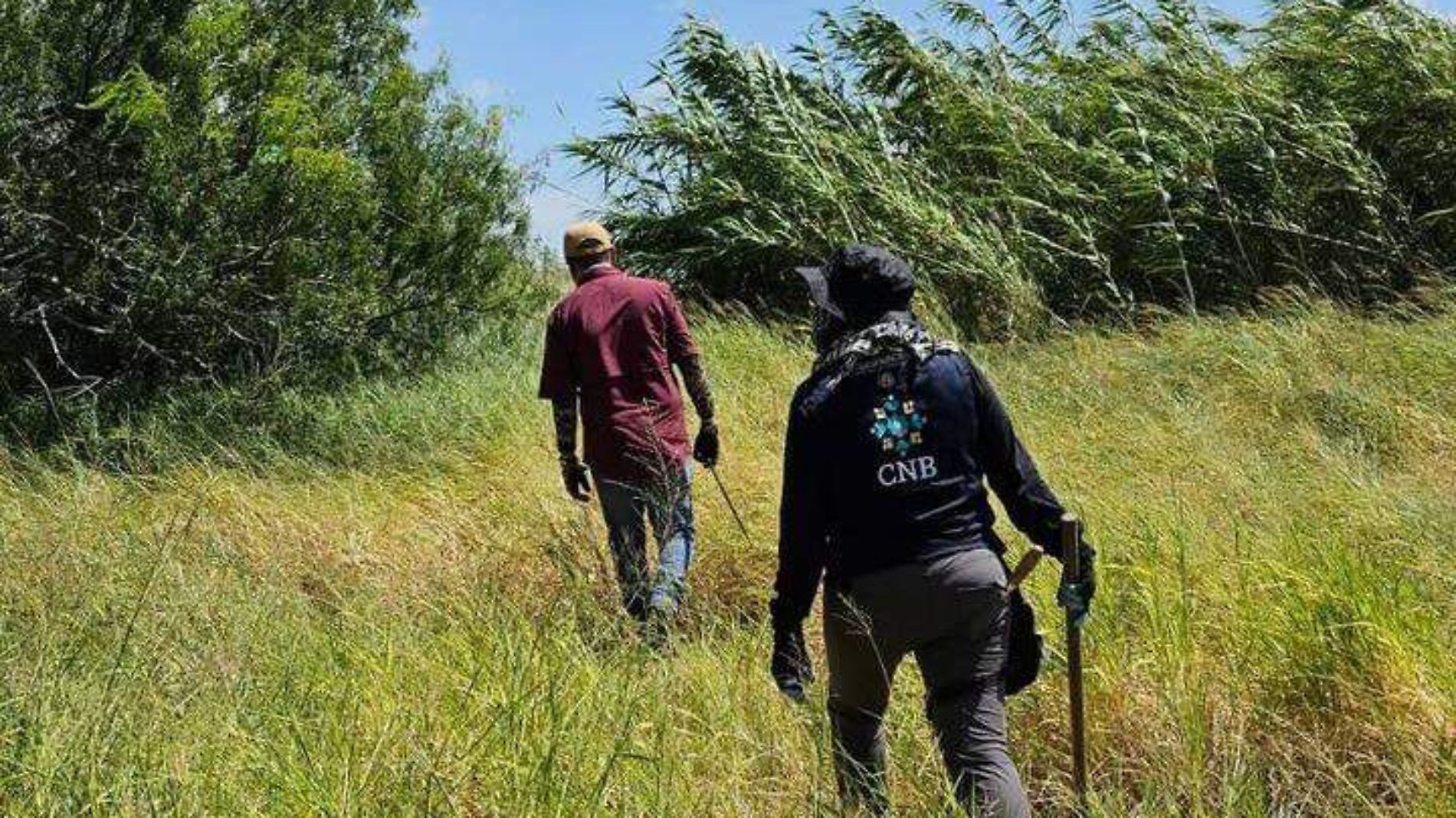 Hallan 27 cuerpos en fosas clandestinas de Tamaulipas; en solo 4 días 